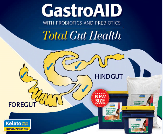 GastroAID