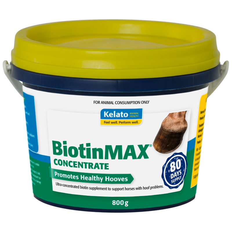WEB-BiotinMAX-Concentrate-800g-Aug17