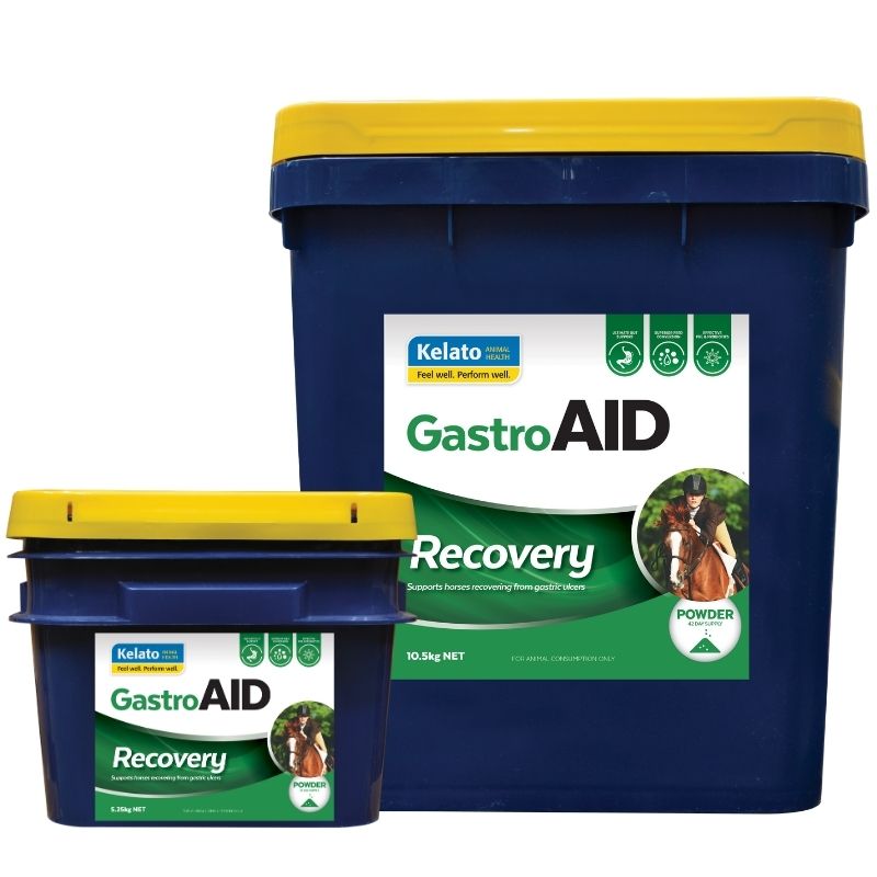 WEB-GastroAID Recovery Group
