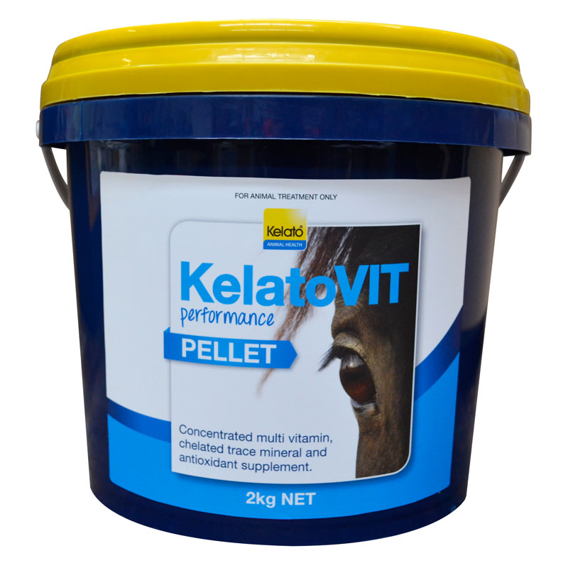WEB-KelatoVIT Performance PELLET 2kg