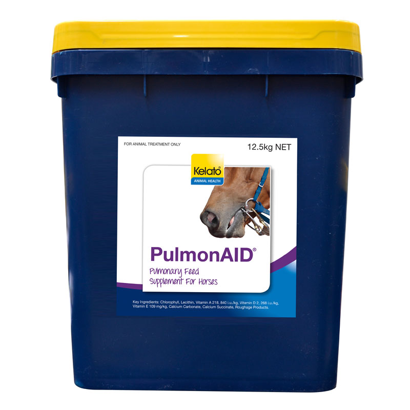 WEB-PulmonAID 12kg