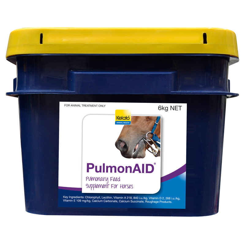 WEB-PulmonAID 6kg