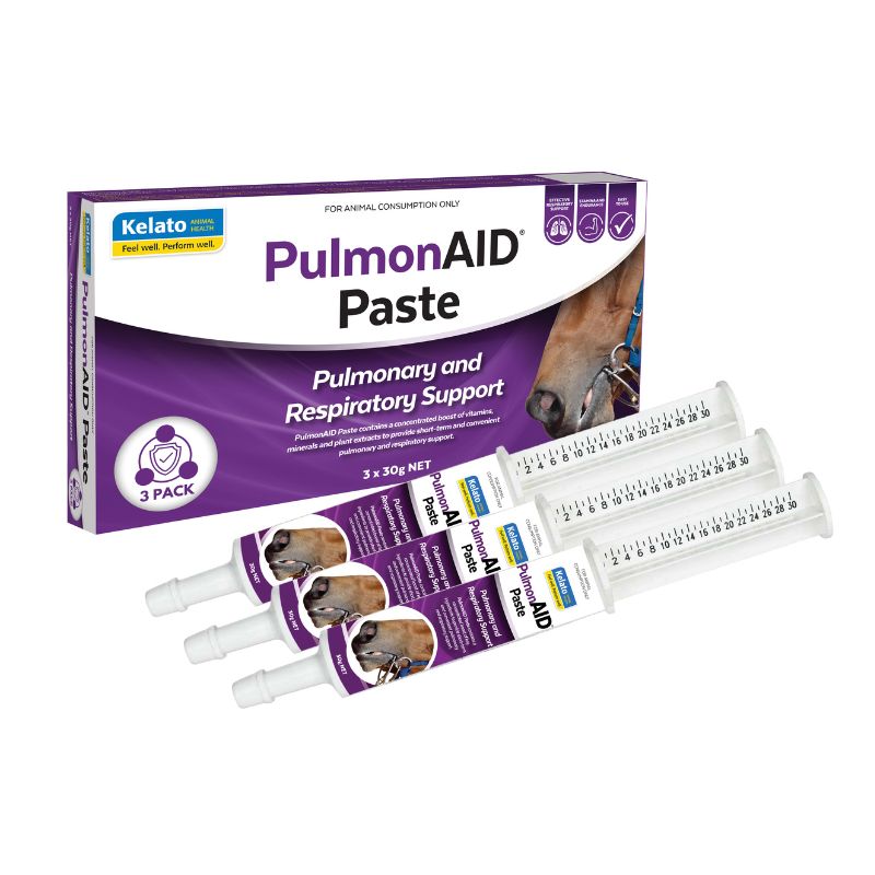 PulmonAID Paste 2 Pack